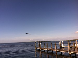 agua